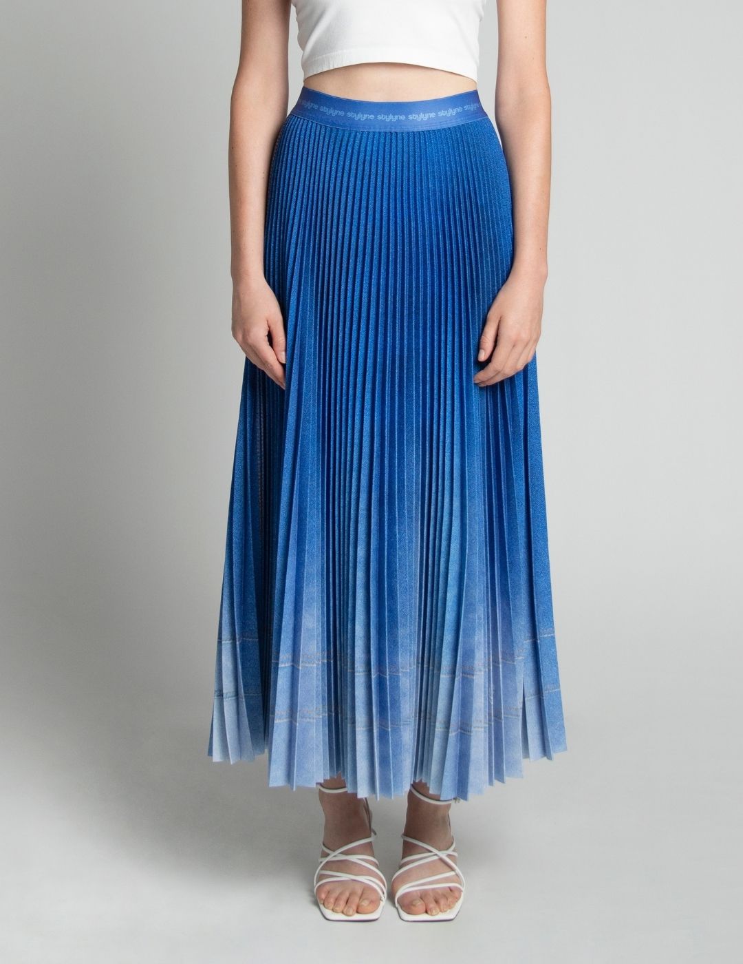Denim Wannabe Long Pleated Skirt